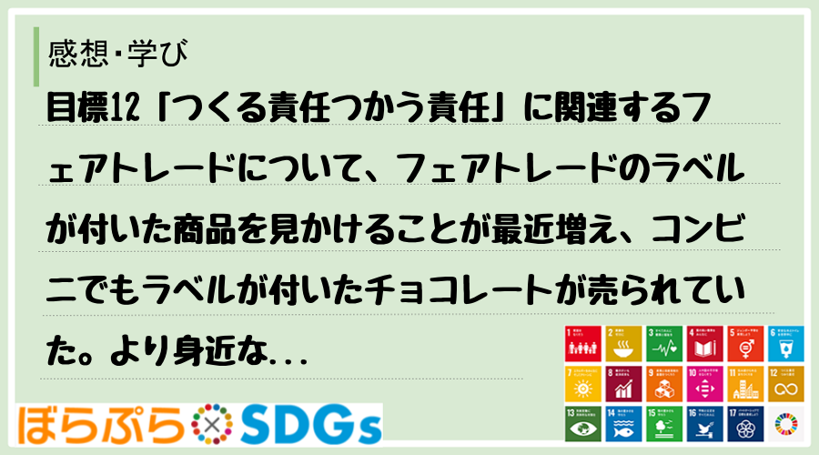 わたしのSDGsアクション・感想