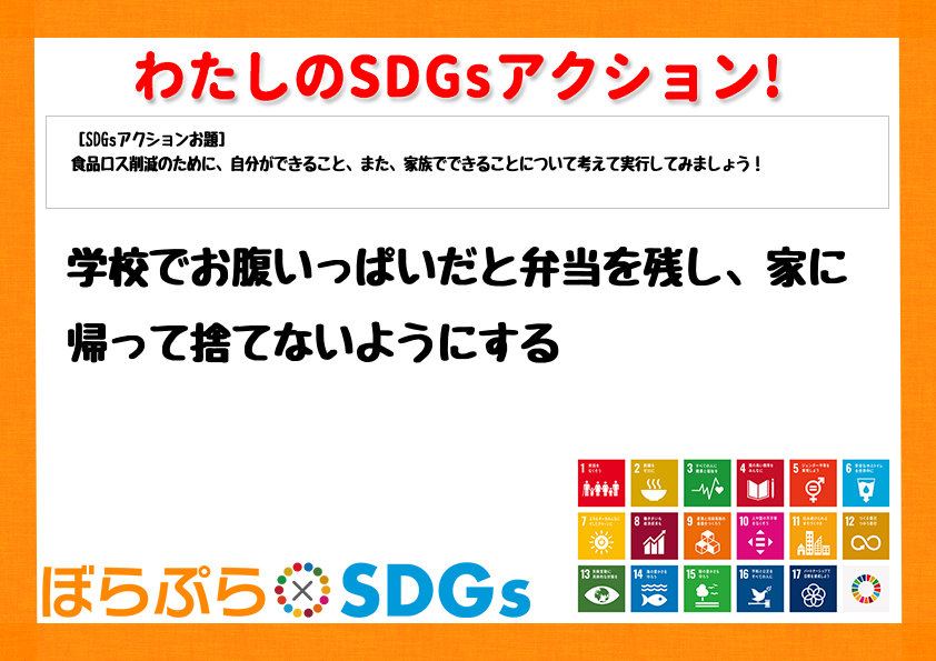 わたしのSDGsアクション・感想