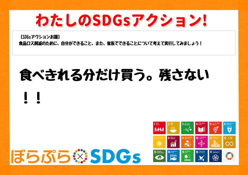 わたしのSDGsアクション・感想