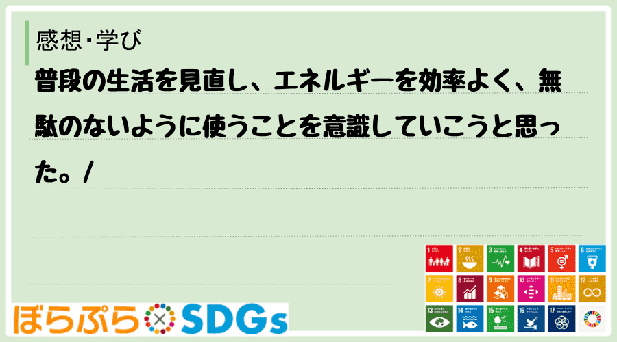 わたしのSDGsアクション・感想