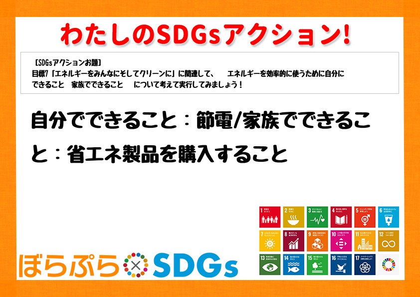 わたしのSDGsアクション・感想