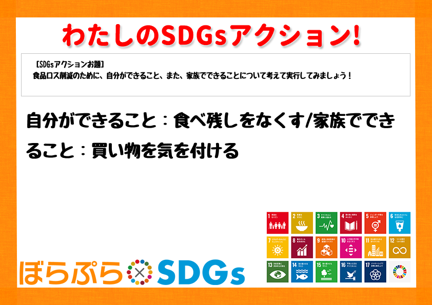 わたしのSDGsアクション・感想