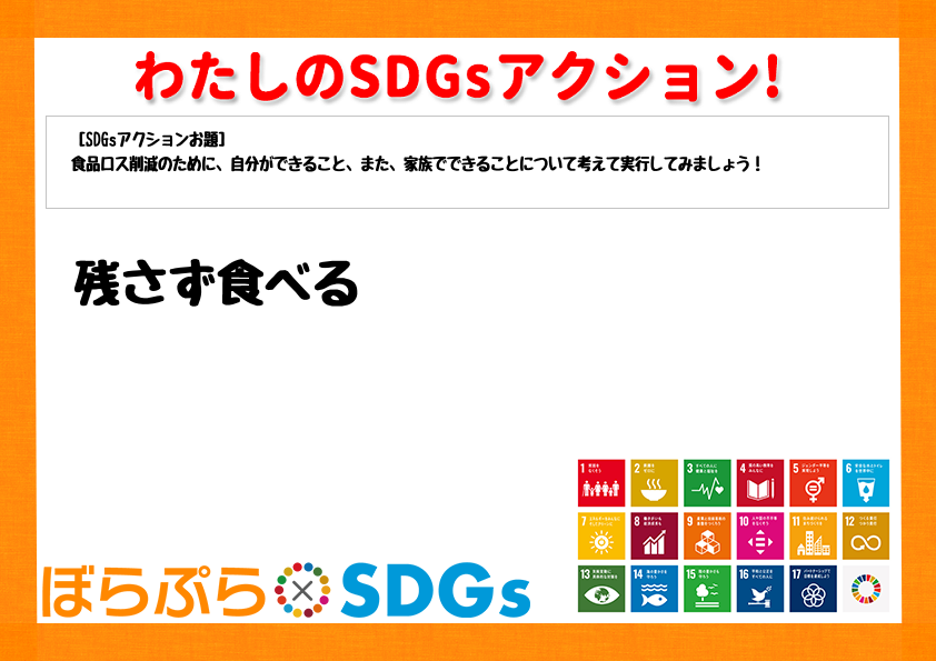 わたしのSDGsアクション・感想