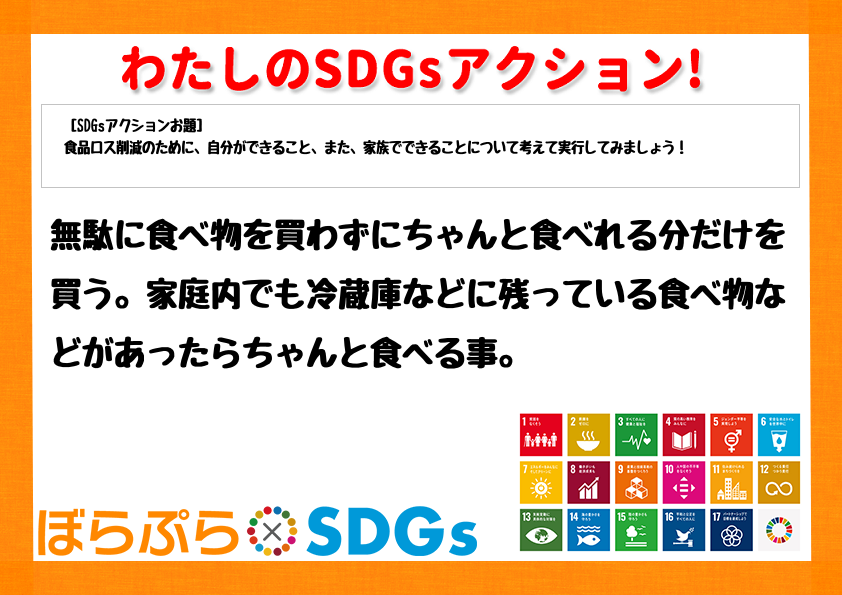 わたしのSDGsアクション・感想