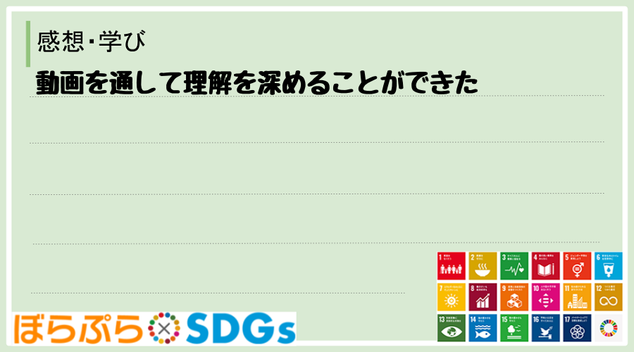 わたしのSDGsアクション・感想