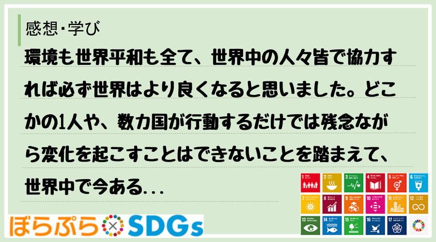 わたしのSDGsアクション・感想