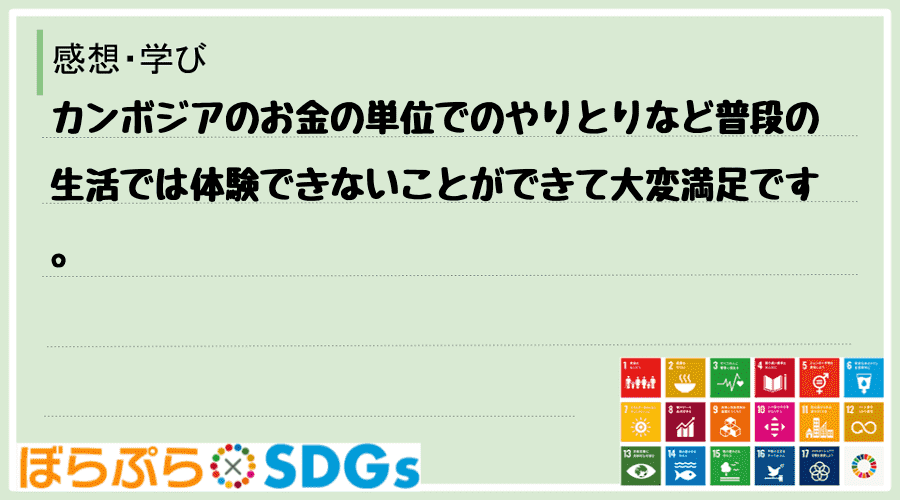 わたしのSDGsアクション・感想