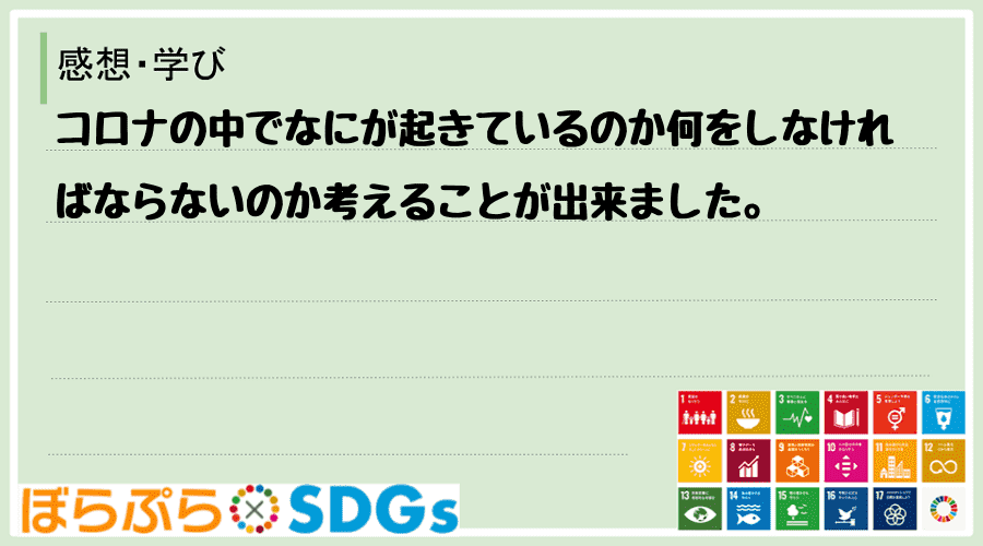 わたしのSDGsアクション・感想