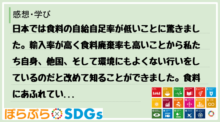 わたしのSDGsアクション・感想