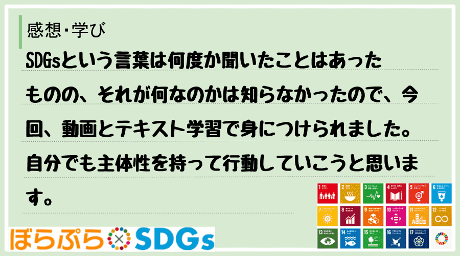 SDGsという言葉は何度か聞いたことはあったものの、それが何なのかは知らなかったので、今回、動...