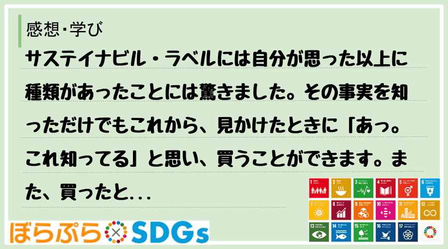 わたしのSDGsアクション・感想