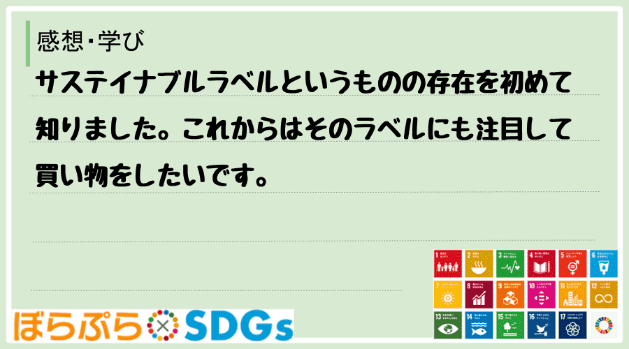 わたしのSDGsアクション・感想