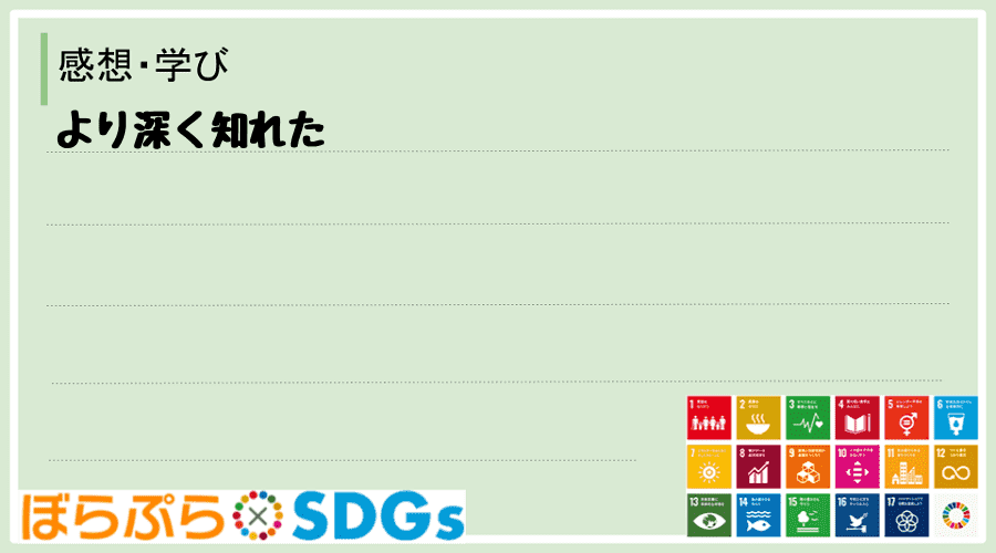 わたしのSDGsアクション・感想