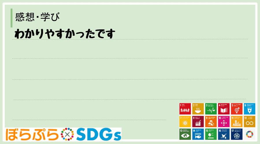 わたしのSDGsアクション・感想