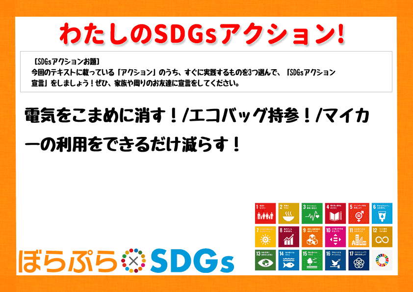 わたしのSDGsアクション・感想