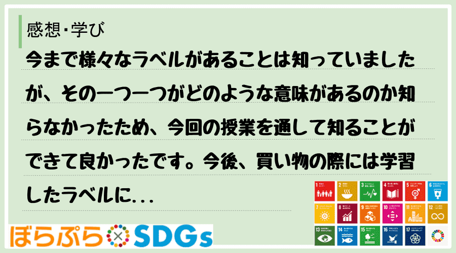 わたしのSDGsアクション・感想