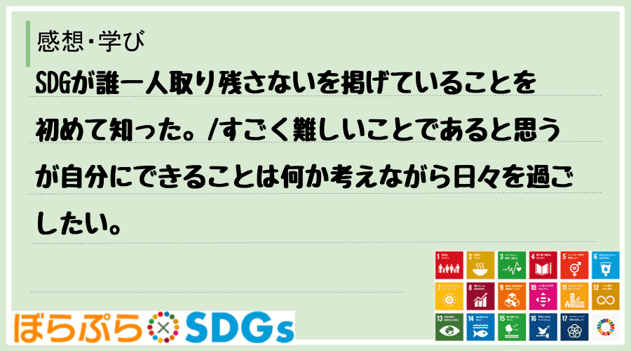 SDGが誰一人取り残さないを掲げていることを初めて知った。
すごく難しいことであると思うが自...