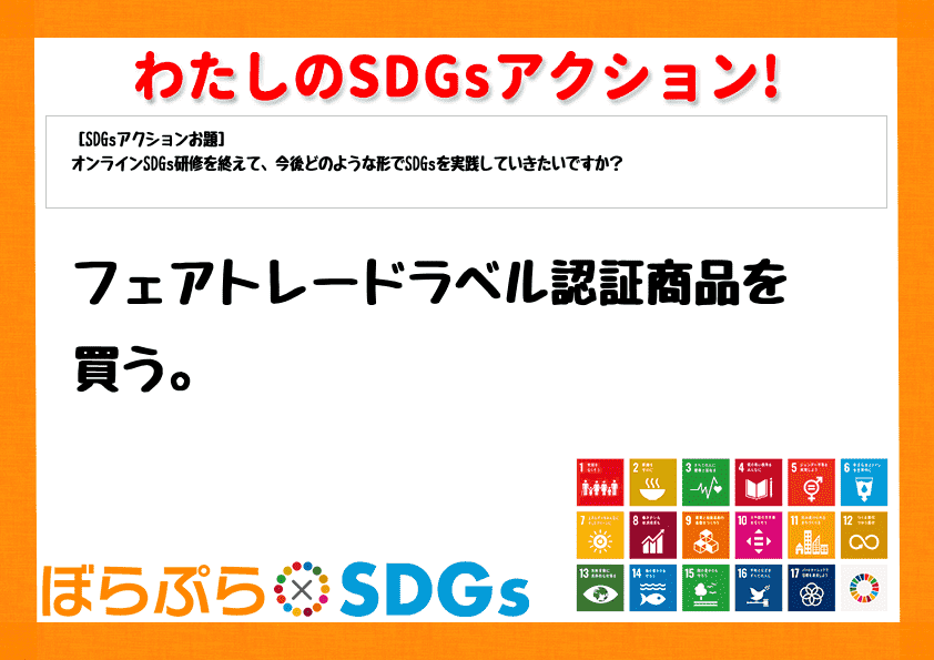 わたしのSDGsアクション・感想