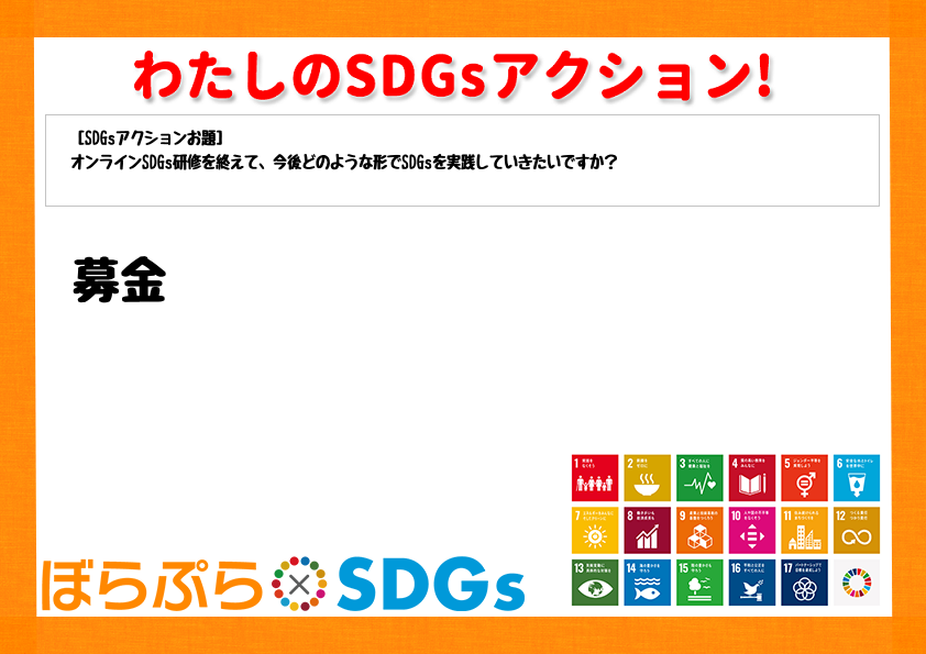 わたしのSDGsアクション・感想