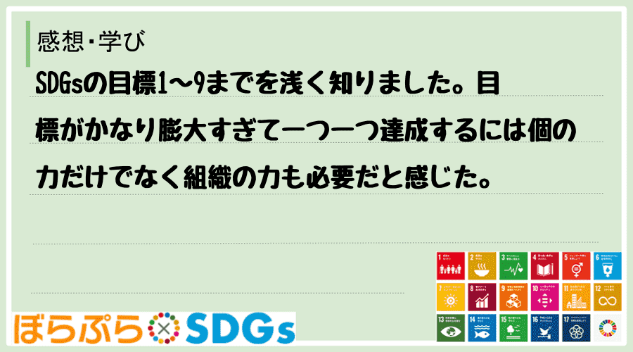 SDGsの目標1〜9までを浅く知りました。目標がかなり膨大すぎて一つ一つ達成するには個の力だけ...