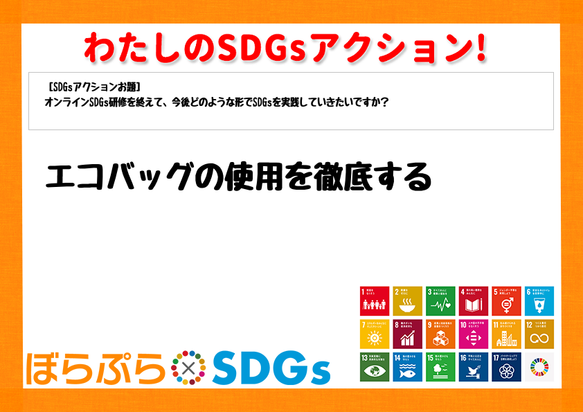 わたしのSDGsアクション・感想