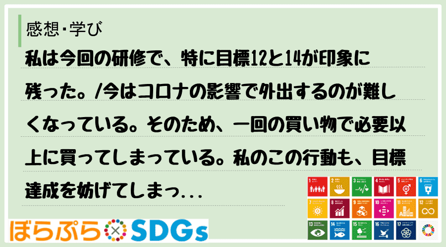 私は今回の研修で、特に目標12と14が印象に残った。
今はコロナの影響で外出するのが難しくな...