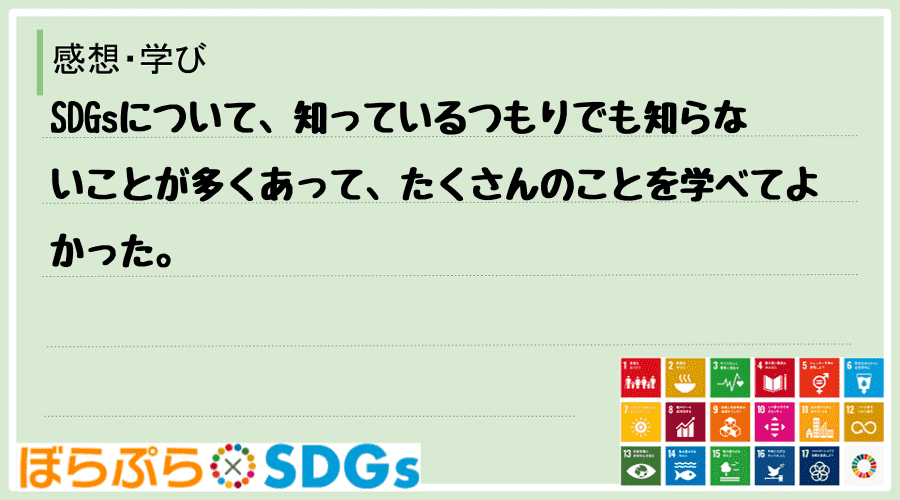 SDGsについて、知っているつもりでも知らないことが多くあって、たくさんのことを学べてよかった。