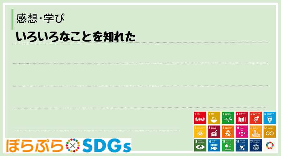 わたしのSDGsアクション・感想