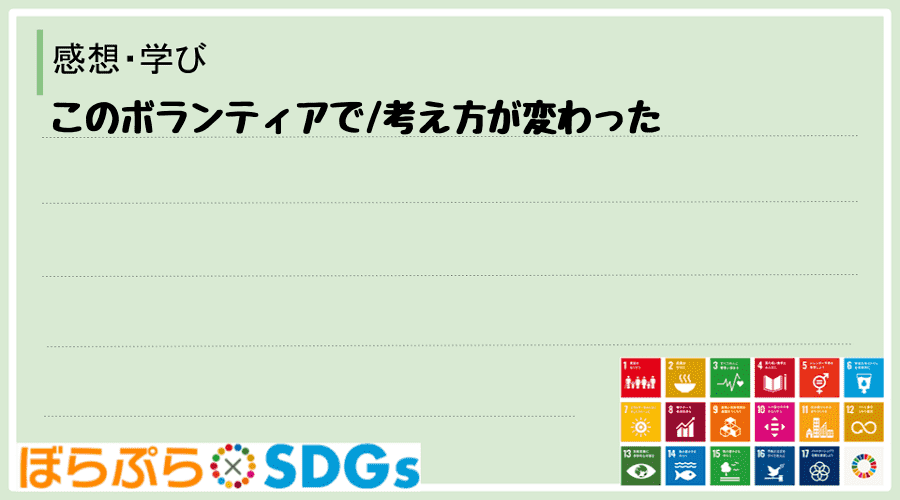 わたしのSDGsアクション・感想