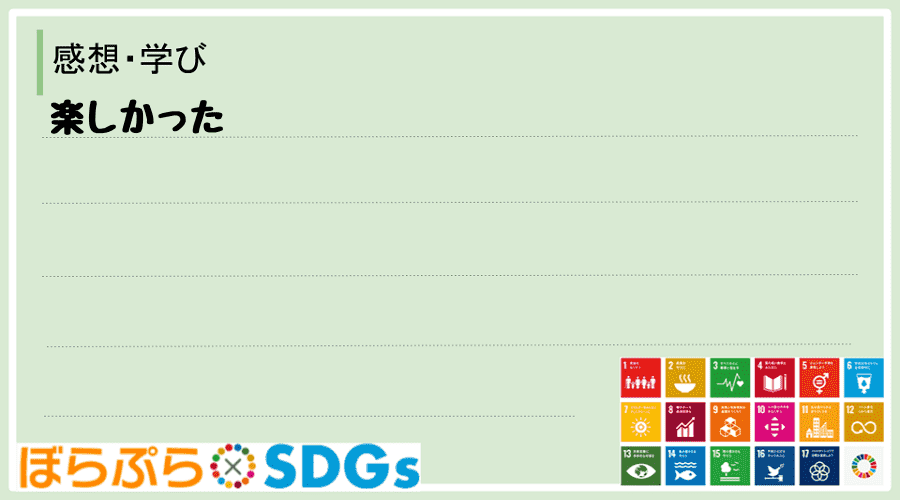 わたしのSDGsアクション・感想