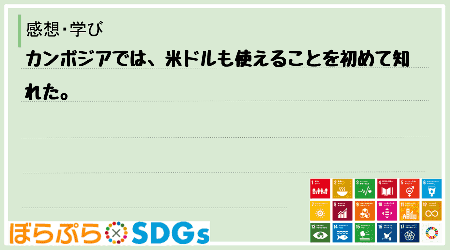 わたしのSDGsアクション・感想