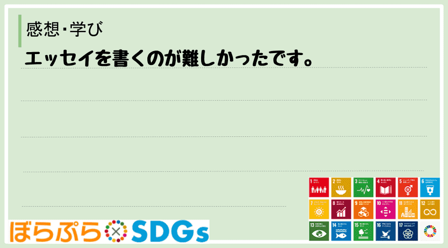 わたしのSDGsアクション・感想