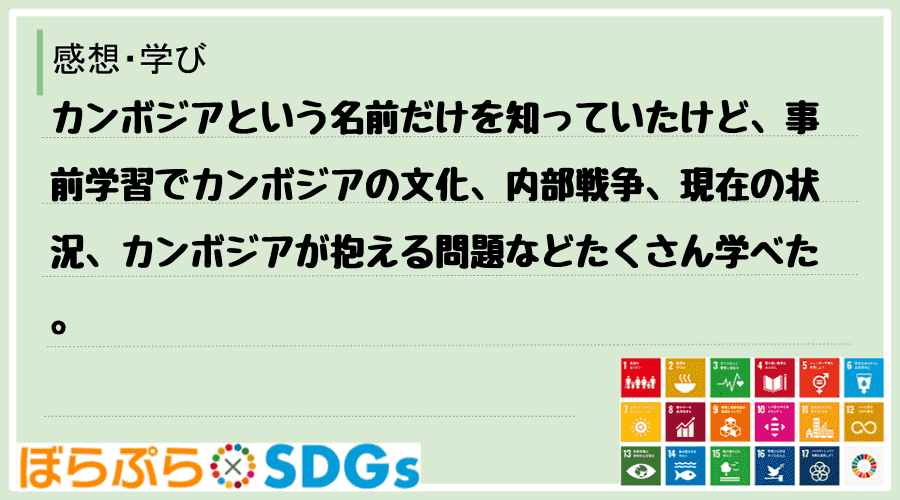 わたしのSDGsアクション・感想