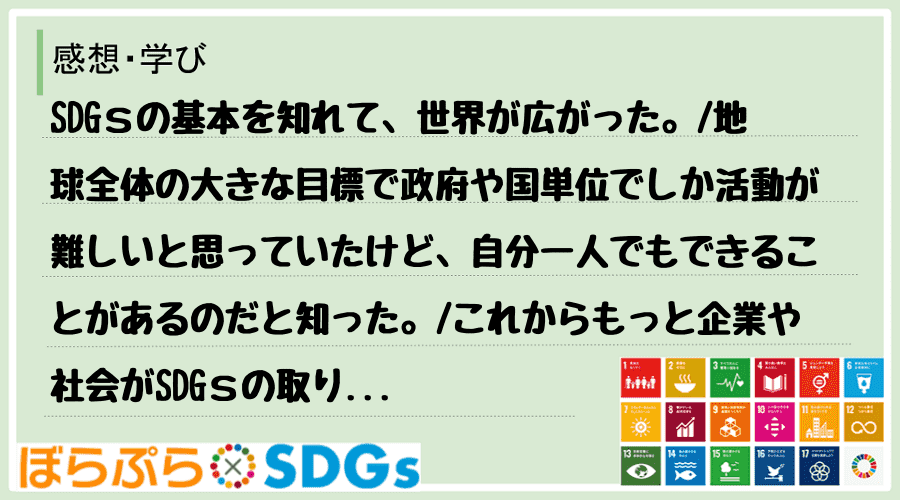 SDGｓの基本を知れて、世界が広がった。
地球全体の大きな目標で政府や国単位でしか活動が難し...